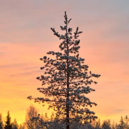 Scandinavian With Private Sauna Rovaniemi