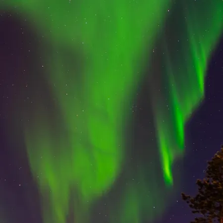 Scandinavian With Private Sauna * Rovaniemi