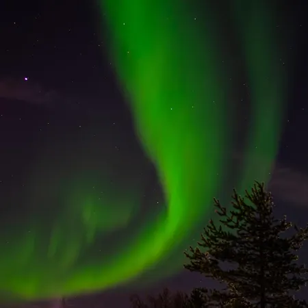 Scandinavian With Private Sauna Villa