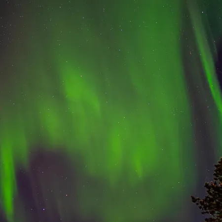 Villa Scandinavian With Private Sauna *