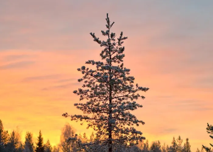 Scandinavian With Private Sauna רובניימי